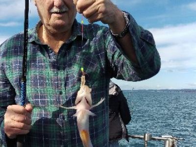 IMAG1557_BURST002_COVER - Copy.jpg