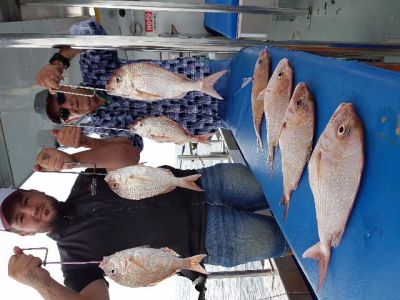 Fishing 2017 Jan  - Jun